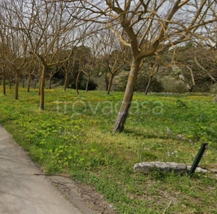 Terreno Agricolo in vendita a Putignano via Conversano, 25A