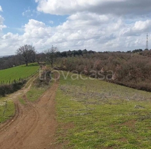 Terreno Agricolo in vendita a Rignano Flaminio via San Sisinio