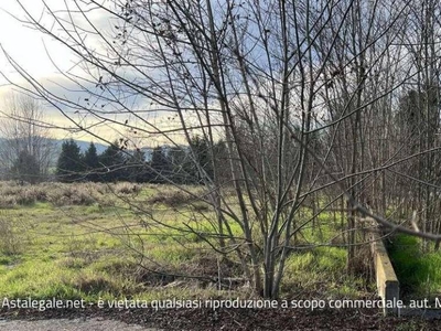 Terreno Agricolo in vendita a Riolo Terme strada Provinciale Casolana - Riolese