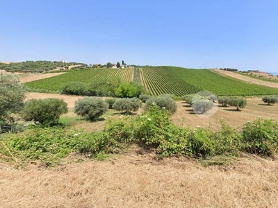Terreno Agricolo in vendita a Roseto degli Abruzzi località San Martino, 1