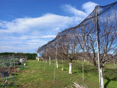 Terreno Agricolo in vendita a Rosignano Marittimo