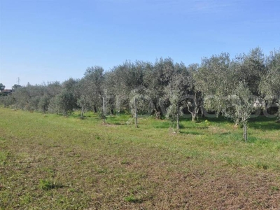 Terreno Agricolo in vendita a Rosignano Marittimo stradone del Tripesce