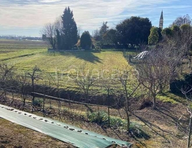 Terreno Agricolo in vendita a Roverchiara via Ormeolo