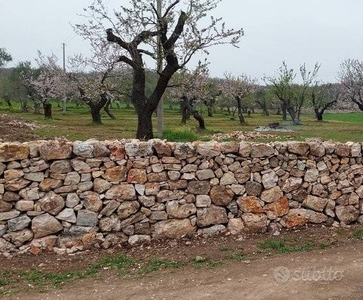 Terreno Agricolo in vendita a Ruvo di Puglia ruvo di Puglia