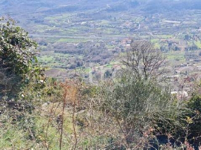 Terreno Agricolo in vendita a Salerno via Sant'Angelo di Ogliara