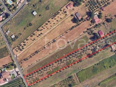 Terreno Agricolo in vendita a San Cesareo via Del Carzolese, Km 0