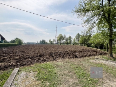 Terreno Agricolo in vendita a San Giorgio in Bosco