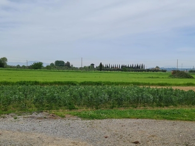 Terreno Agricolo in vendita a San Miniato via Tosco Romagnola Est,