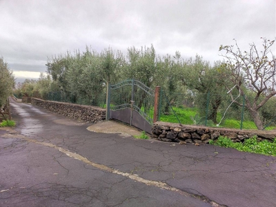 Terreno Agricolo in vendita a Santa Maria di Licodia strada Poggio dell'Aquila
