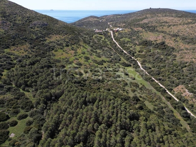 Terreno Agricolo in vendita a Sant'Antioco località Cannai