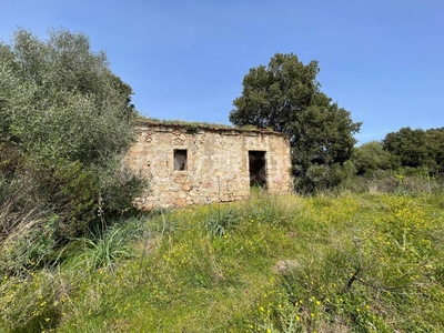 Terreno Agricolo in vendita a Sant'Antonio di Gallura ss427