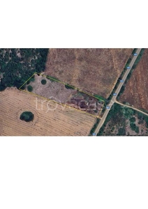 Terreno Agricolo in vendita a Sassari sp93