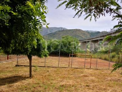 Terreno Agricolo in vendita a Scalea località Petrosa