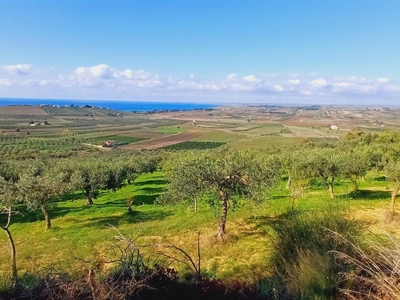 Terreno Agricolo in vendita a Sciacca contrada Castellana sp 79