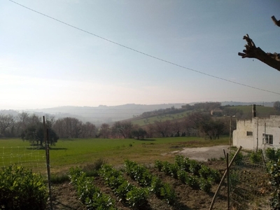 Terreno Agricolo in vendita a Senigallia