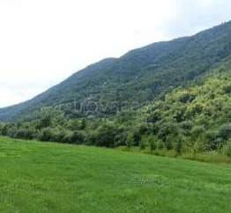 Terreno Agricolo in vendita a Seren del Grappa via Guizza