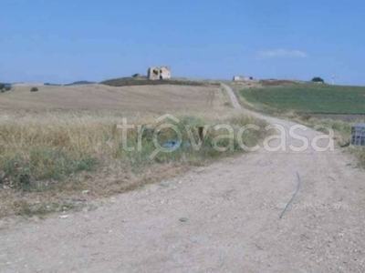 Terreno Agricolo in vendita a Serracapriola via Sant'Antonio Abate