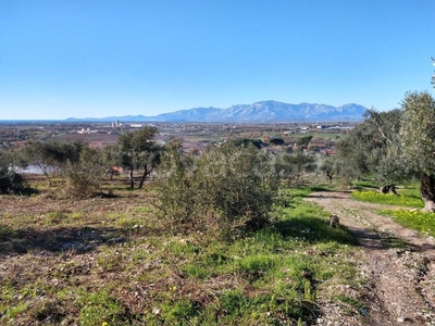 Terreno Agricolo in vendita a Sessa Aurunca località Piedimonte