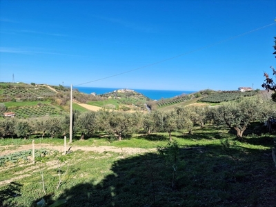 Terreno Agricolo in vendita a Silvi contrada Piane Maglierici