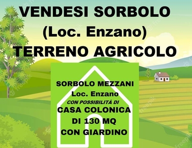 Terreno Agricolo in vendita a Sorbolo Mezzani via Italo Focherini, 23