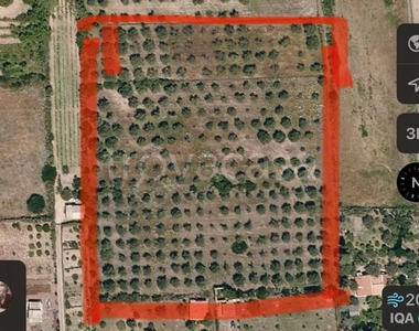 Terreno Agricolo in vendita a Sorso località Lu Padru s.n.c.