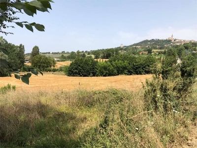 Terreno agricolo in Vendita a Todi