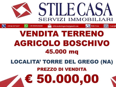 Terreno Agricolo in vendita a Torre del Greco via Volpicelli