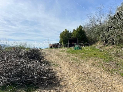 Terreno Agricolo in vendita a Tortoreto via dell'Acquedotto