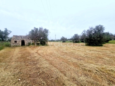 Terreno Agricolo in vendita a Tricase via Antonio Maria Valsana