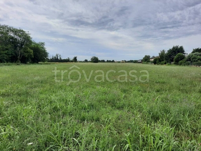 Terreno Agricolo in vendita a Udine via Lauzacco