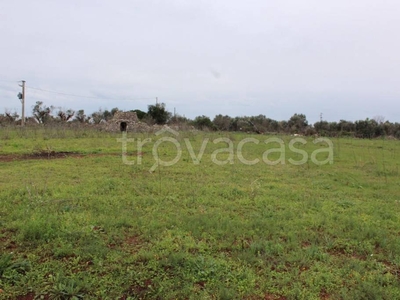 Terreno Agricolo in vendita a Ugento sp72
