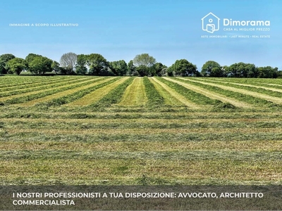 Terreno Agricolo in vendita a Urbania localita la Palazzina