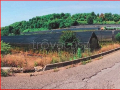 Terreno Agricolo in vendita a Velletri località Colle Catalini