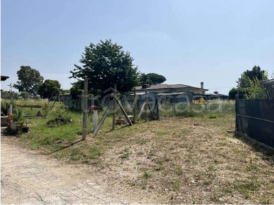 Terreno Agricolo in vendita a Velletri via Appia Antica, 211