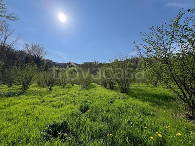 Terreno Agricolo in vendita a Vezza d'Alba sp287