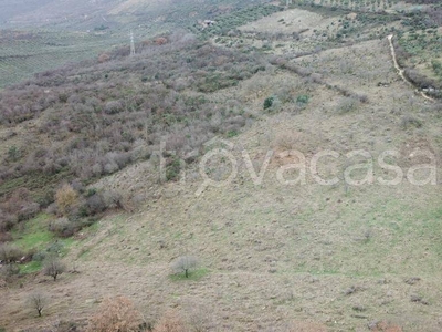 Terreno Agricolo in vendita a Vicovaro via Carignano