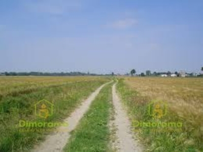 Terreno Agricolo in vendita a Volterra localita' prato d'era