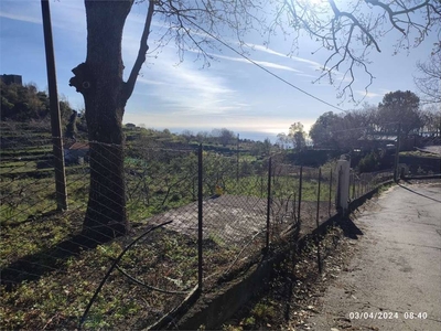 Terreno Agricolo in vendita a Zafferana Etnea via Carlino Dagalino