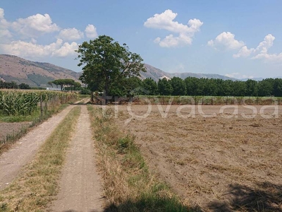 Terreno Agricolo in vendita ad Acerra corso Europa