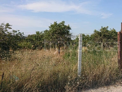 Terreno Agricolo in vendita ad Acerra prolungamento Corso Italia