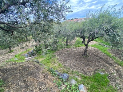 Terreno Agricolo in vendita ad Aci Castello via Vampolieri, 32