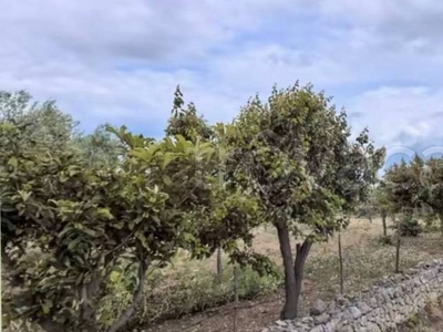 Terreno Agricolo in vendita ad Adelfia contrada Piscina di Suso