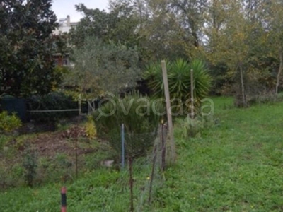 Terreno Agricolo in vendita ad Albano Laziale via Campania