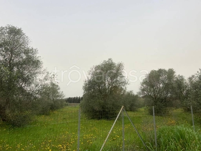 Terreno Agricolo in vendita ad Alghero strada Vicinale Mandras Larga