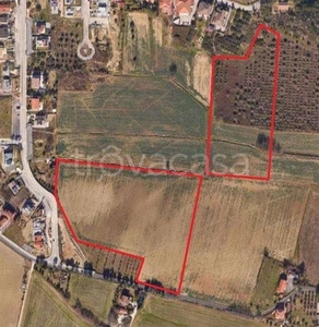 Terreno Agricolo in vendita ad Ancona via Baraccola