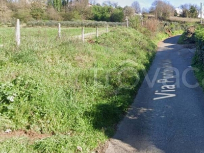 Terreno Agricolo in vendita ad Artena via Ponte del Colle