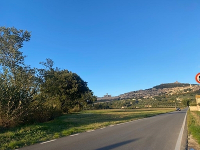 Terreno Agricolo in vendita ad Assisi assisi valecchi,1