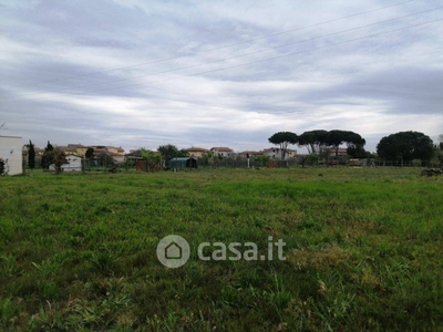 Terreno agricolo in Vendita in a Casciana Terme Lari