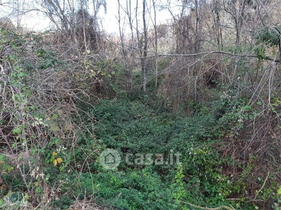 Terreno agricolo in Vendita in a Macerata