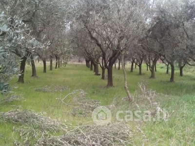 Terreno agricolo in Vendita in Via dei Sepolcri 2 a Pisa